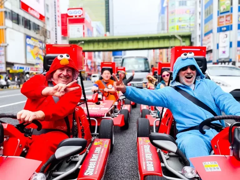 Experience Tokyo Like Never Before: Akihabara Street Kart Night Tour